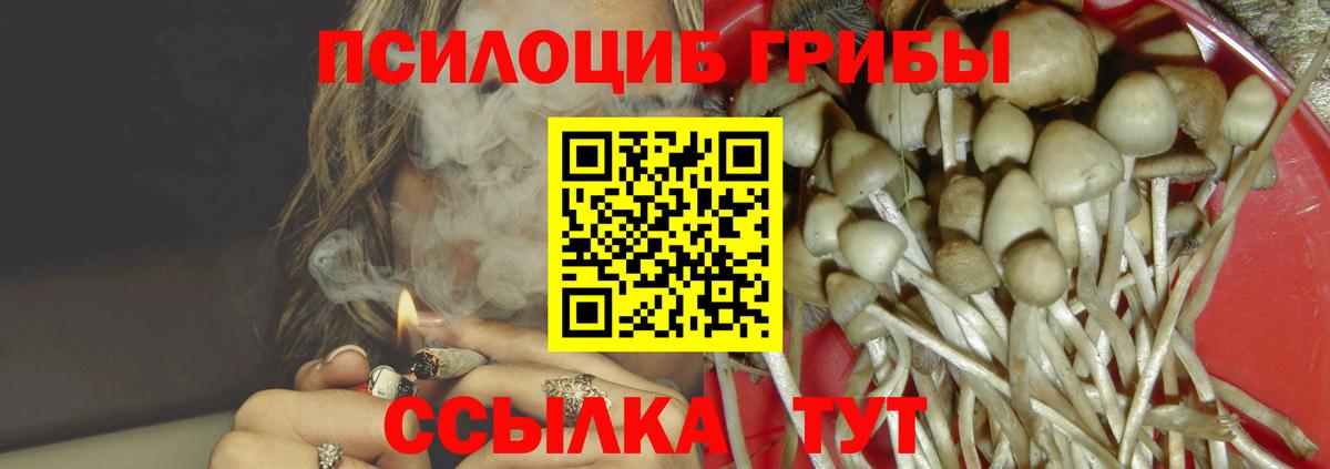 Псилоцибиновые грибы Psilocybe  Вход с VPN  Аксай 